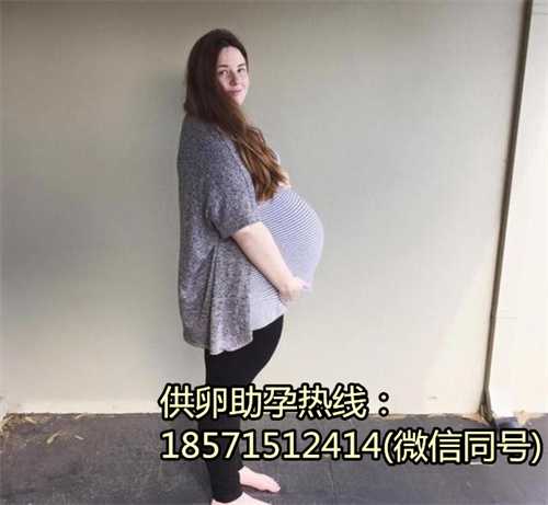 成功率极高的上海2023年试管婴儿医院大揭秘