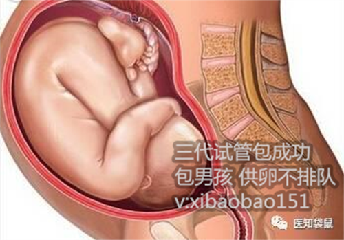 武汉合法供卵试管婴儿中心_北京助孕价格怎么样,6cb囊胚移植成功率