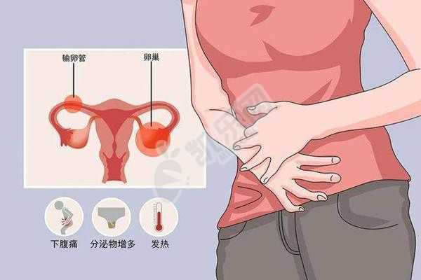 武汉代怀孕的价格,做泰国试管婴儿会造成卵巢早衰是真的吗？