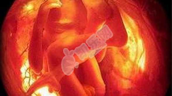 武汉代生母价格,试管婴儿胚胎移植后是否会流产
