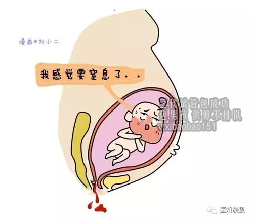 武汉代怀公司介绍,【姐妹们没月经了还能做供卵吗】以下是我以前备孕时候的